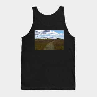 Path in the foothills Tank Top